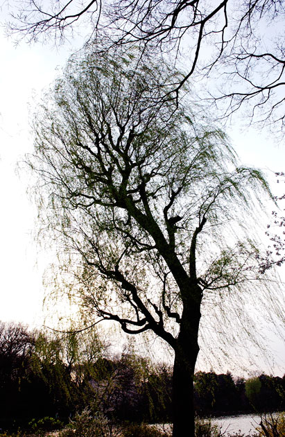landscape_011.jpg