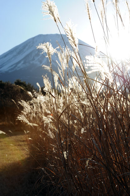 fuji_022.jpg