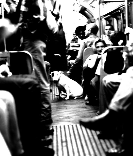 ln08.jpg