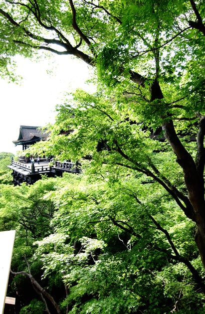 landscape_08.jpg